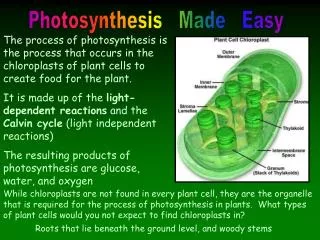 Photosynthesis Made Easy