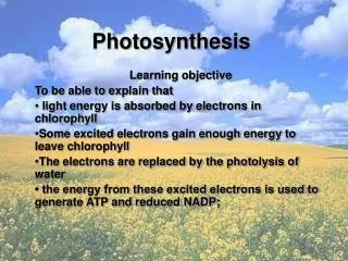 Photosynthesis