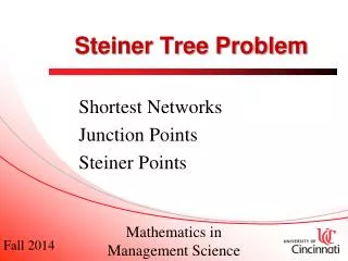 Steiner Tree Problem