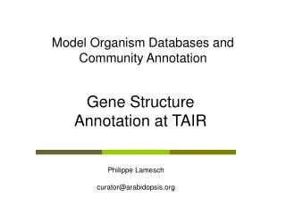 Model Organism Databases and Community Annotation