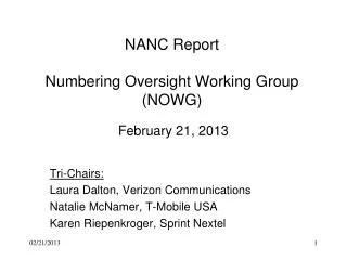 NANC Report Numbering Oversight Working Group (NOWG)