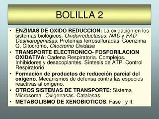 bolilla 2