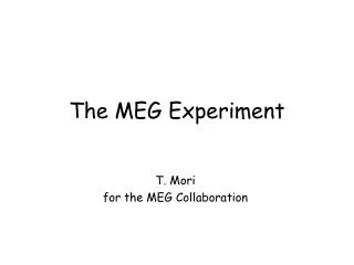 The MEG Experiment