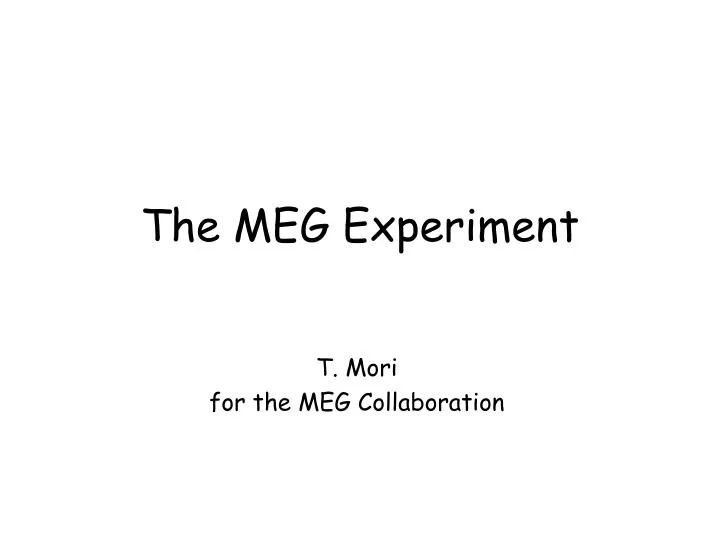 the meg experiment