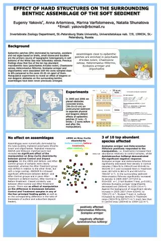 assemblages close to epibenthic patches are enriched in polychaets Aricidea nolani , Chaetozone