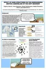 Impact of Hard Structures on Benthic Assemblages in Soft Sediments of the White Sea - slide 1