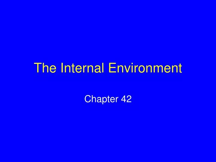the internal environment