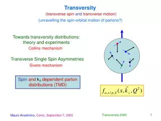 Transversity