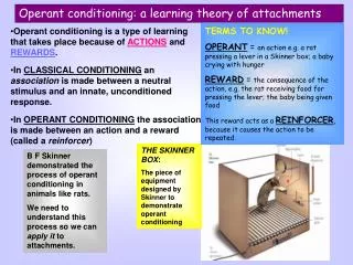 Operant conditioning: a learning theory of attachments