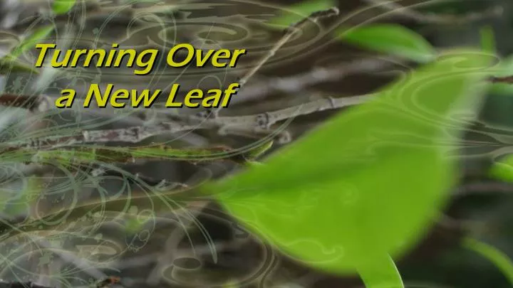 turning over a new leaf