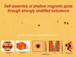 Self-assembly of shallow magnetic spots through strongly stratified turbulence