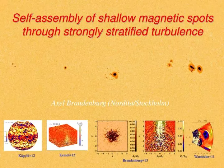 self assembly of shallow magnetic spots through strongly stratified turbulence