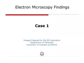 Electron Microscopy Findings