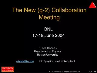 The New (g-2) Collaboration Meeting