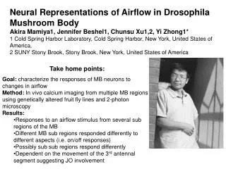 Neural Representations of Airflow in Drosophila Mushroom Body