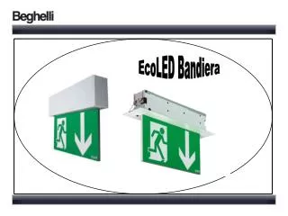 EcoLED Bandiera