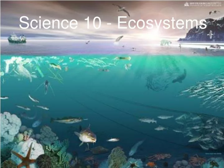 science 10 ecosystems