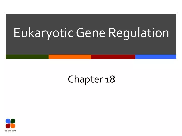 Ppt I Overview Of Eukaryotic Gene Regulation Powerpoint Presentation