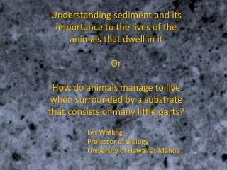 Understanding sediment and its importance to the lives of the animals that dwell in it Or