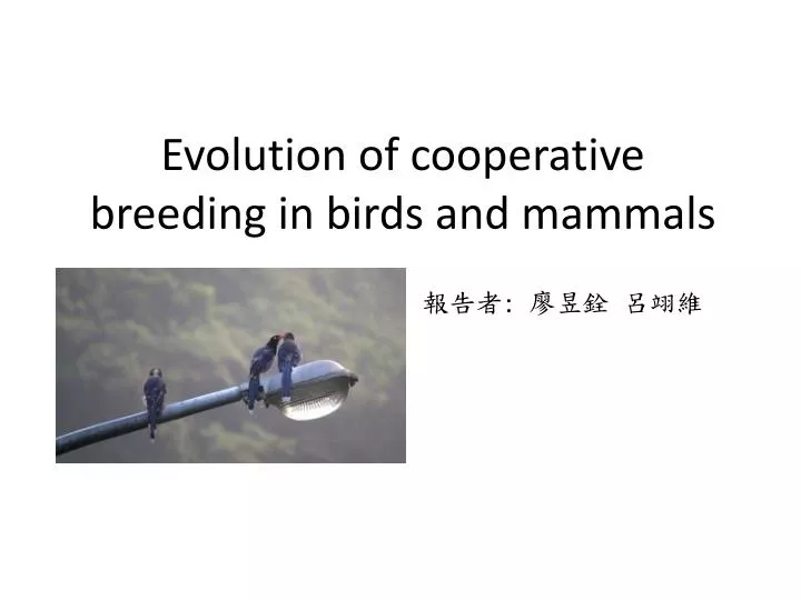 evolution of cooperative breeding in birds and mammals