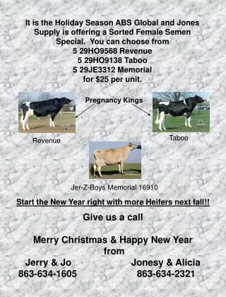 Start the New Year right with more Heifers next fall!!