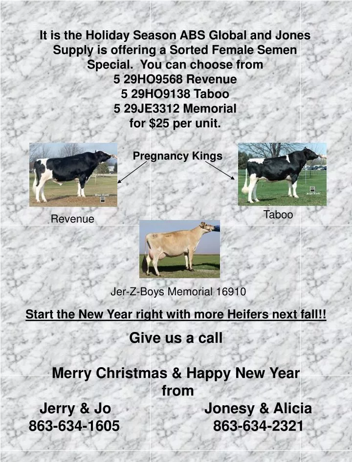 start the new year right with more heifers next fall