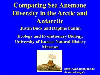 Comparing Sea Anemone Diversity in the Arctic and Antarctic