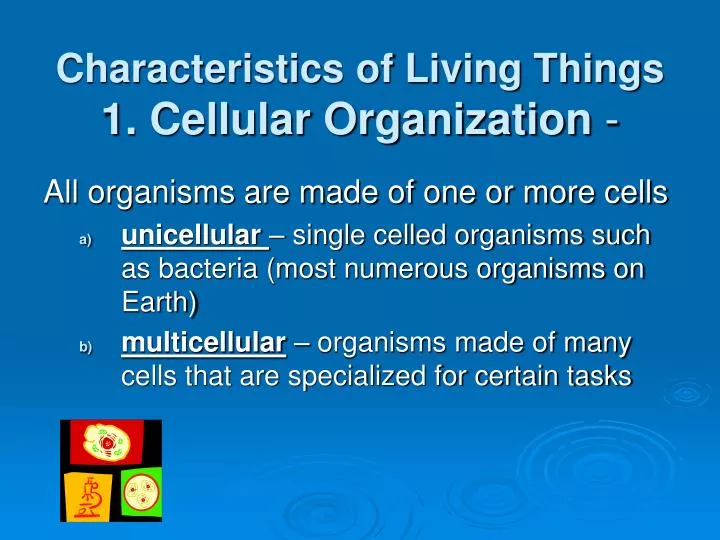 characteristics of living things 1 cellular organization