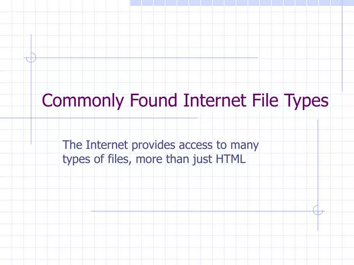 commonly found internet file types