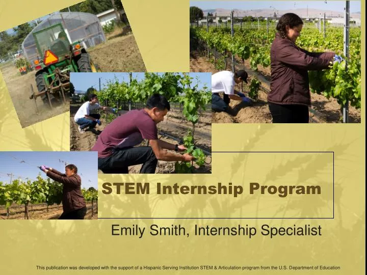stem internship program