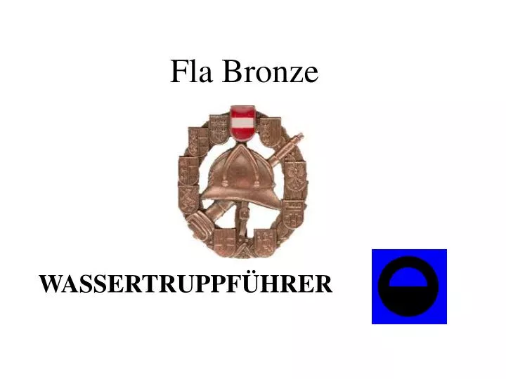 fla bronze