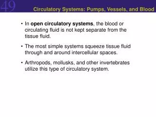 Circulatory Systems: Pumps, Vessels, and Blood