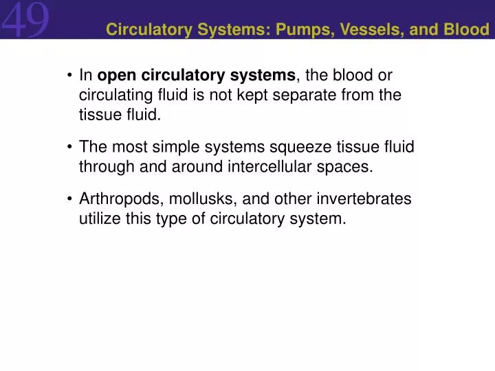 circulatory systems pumps vessels and blood