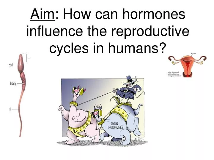 aim how can hormones influence the reproductive cycles in humans