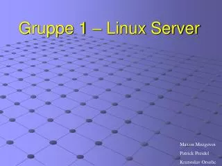 gruppe 1 linux server