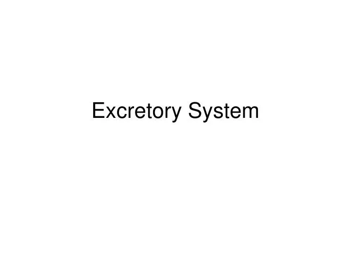 excretory system