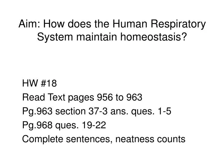 aim how does the human respiratory system maintain homeostasis