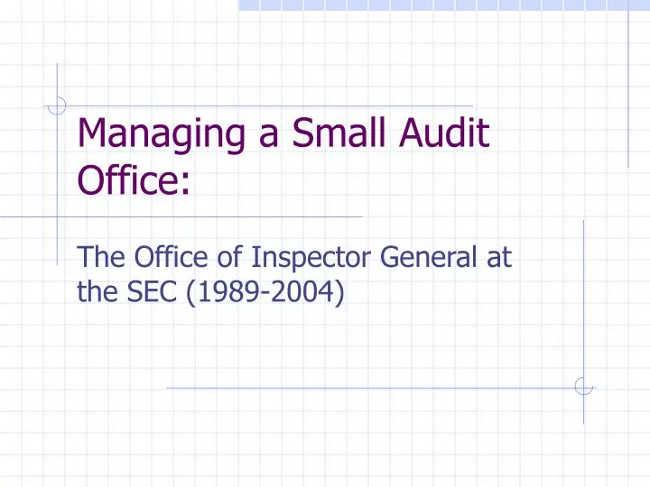 managing a small audit office