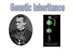 Genetic Inheritance - slide 1