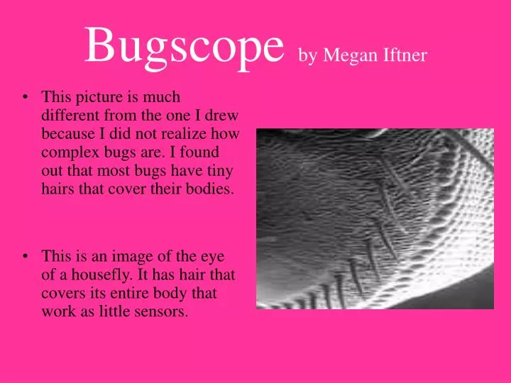 bugscope by megan iftner