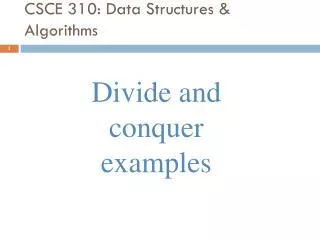 CSCE 310: Data Structures &amp; Algorithms