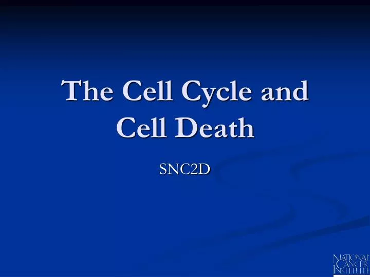 the cell cycle and cell death