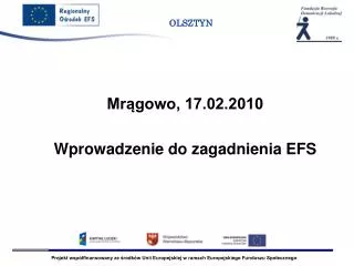mr gowo 17 02 2010 wprowadzenie do zagadnienia efs