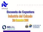 Encuesta de Coyuntura - slide 1