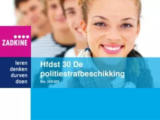 hfdst 30 de politiestrafbeschikking