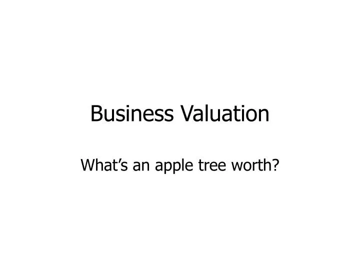 business valuation