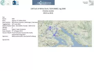 LifeTrack of White Stork / DER AN863, tag 3040 Ciconia ciconia 2013 to 2013