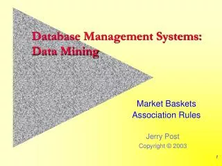 Database Management Systems: Data Mining