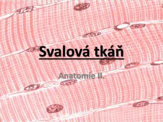 svalov tk