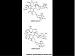NEWER MACROLIDES - slide 1